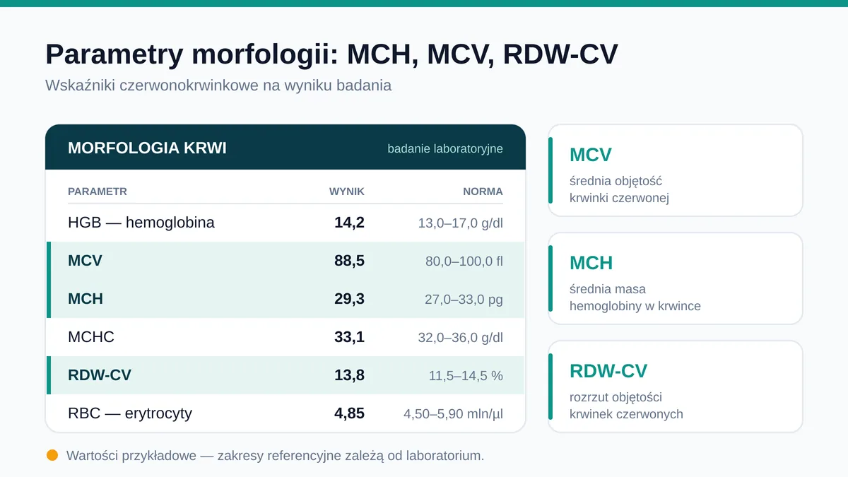Parametry morfologii krwi: MCH, MCV i RDW-CV na wyniku badania